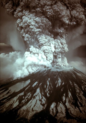 Beauty from the Ashes