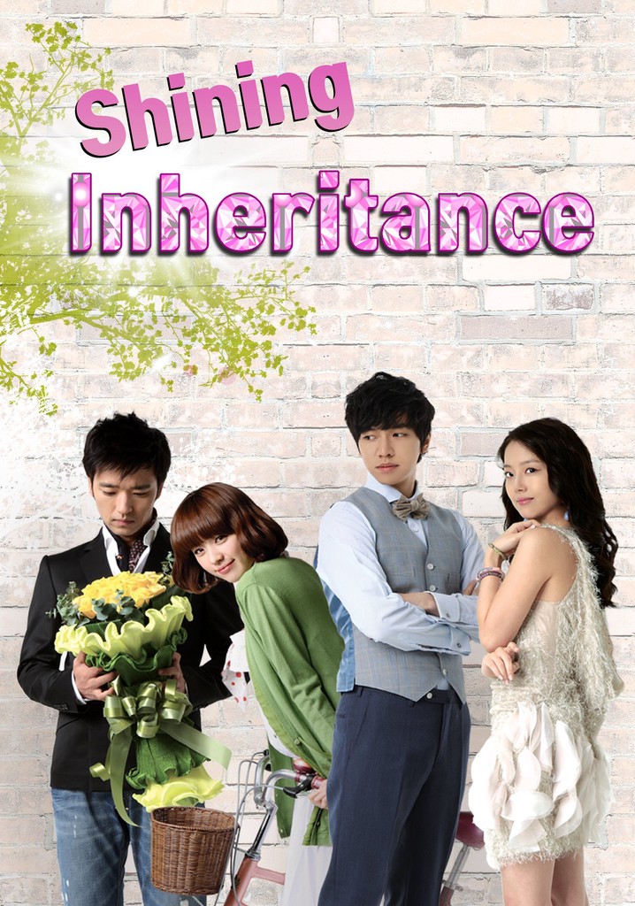 Brilliant Legacy streaming tv show online