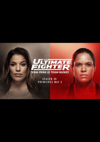 The Ultimate Fighter - streaming tv show online