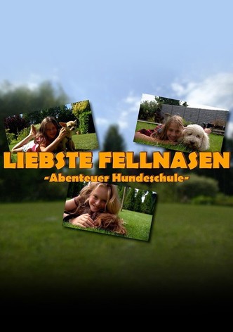 Staffel 1