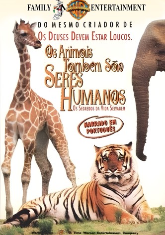 Os Bichos são Gente Boa