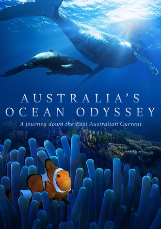 Australia's Ocean Odyssey: A journey down the East Australian Current
