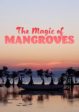 The Magic of Mangroves