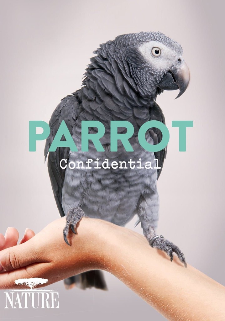 Parrot Confidential