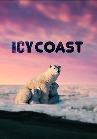 Icy Coasts