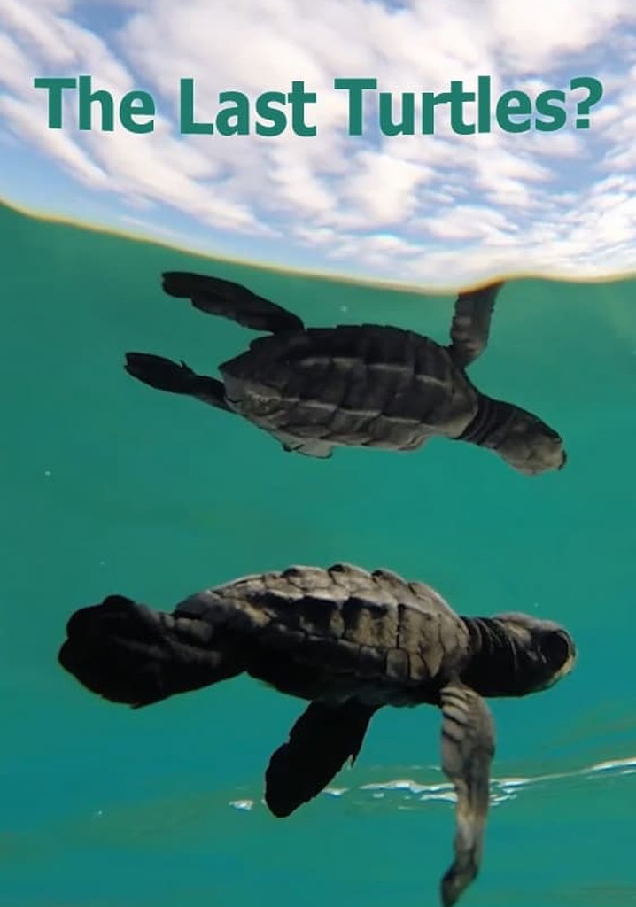 The Last Turtles?