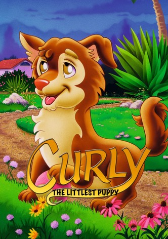 Curly le petit chien