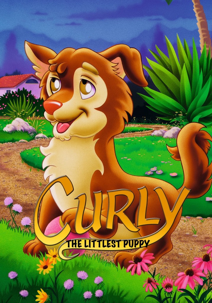 Curly - The Littlest Puppy
