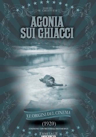 Agonia sui ghiacci