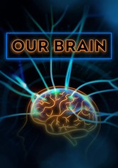 Our Brain
