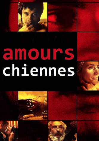 Amours chiennes