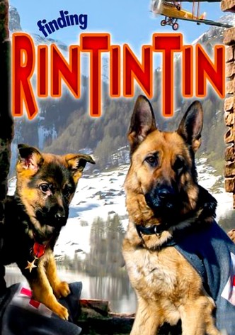 Finding Rin Tin Tin