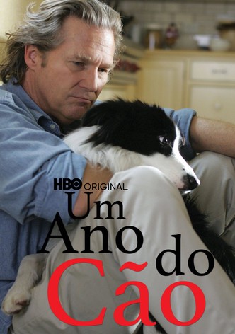 Um Ano do Cão