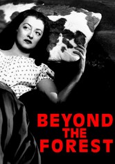 Beyond the Forest