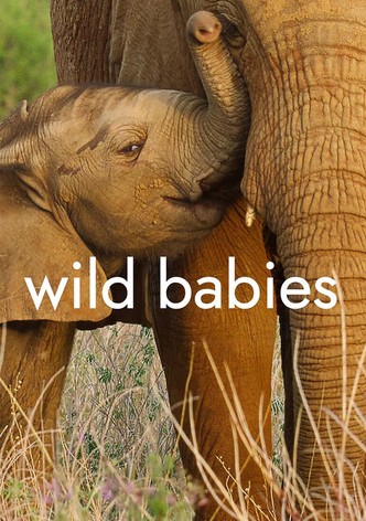Wilde Babys