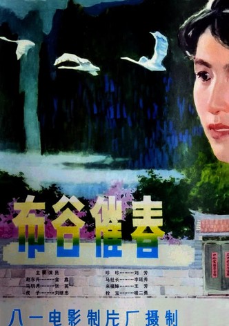 布谷催春