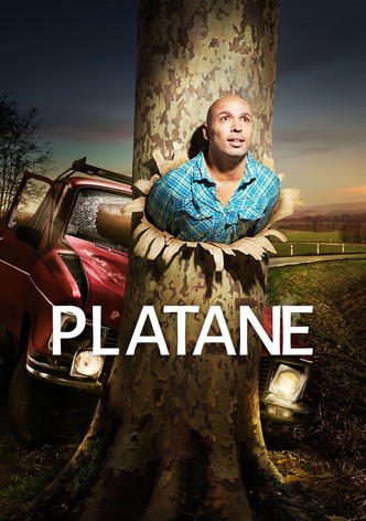 Platane