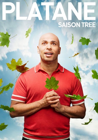 Saison Tree