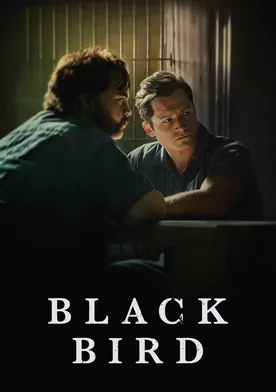 Black Bird poster