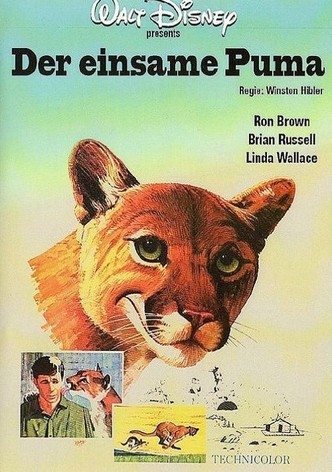 Der einsame Puma