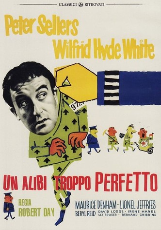 Un alibi (troppo) perfetto