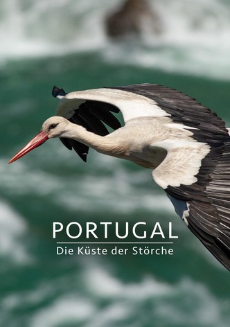 Portugal - Die Küste der Störche