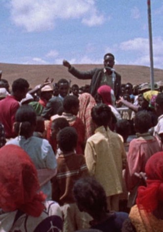Harambee: Pull Together