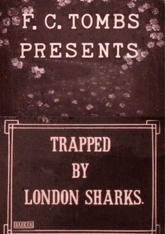 Trapped by London Sharks