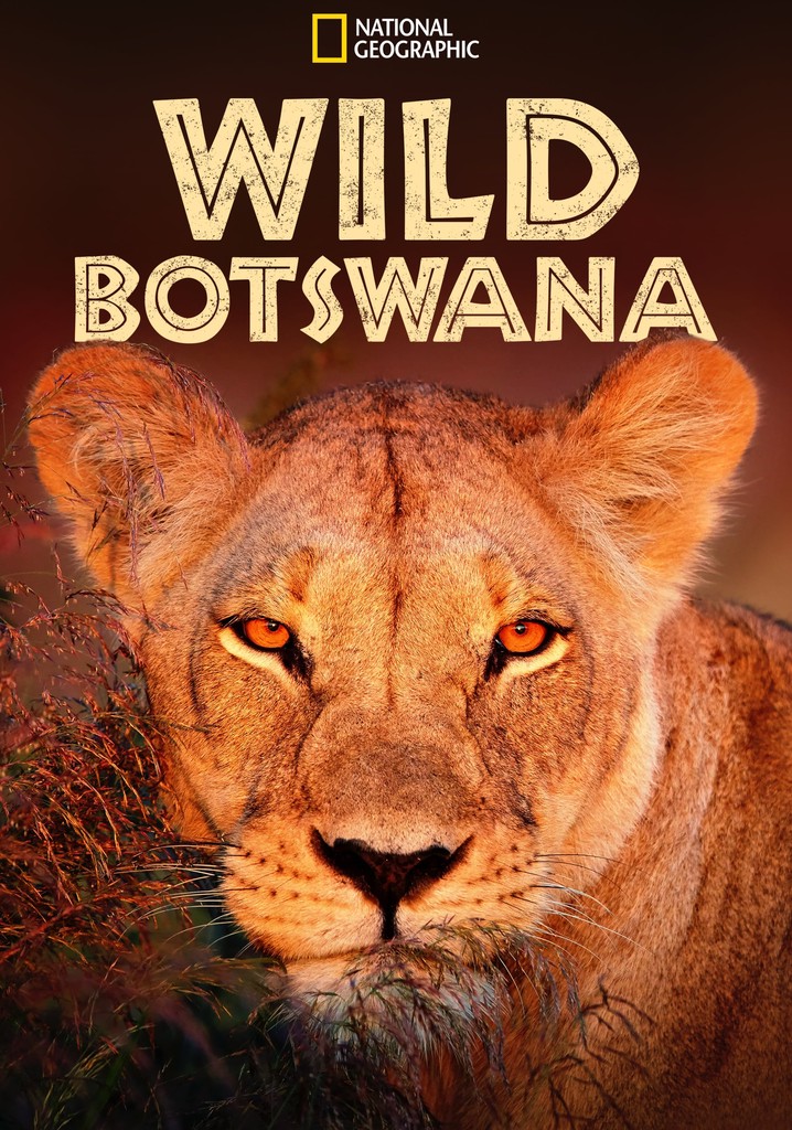 Geographic Documentary Films Stream Nat Geo Wild Geographic