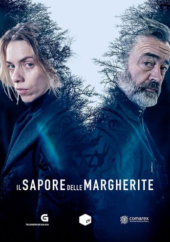 Il sapore delle margherite