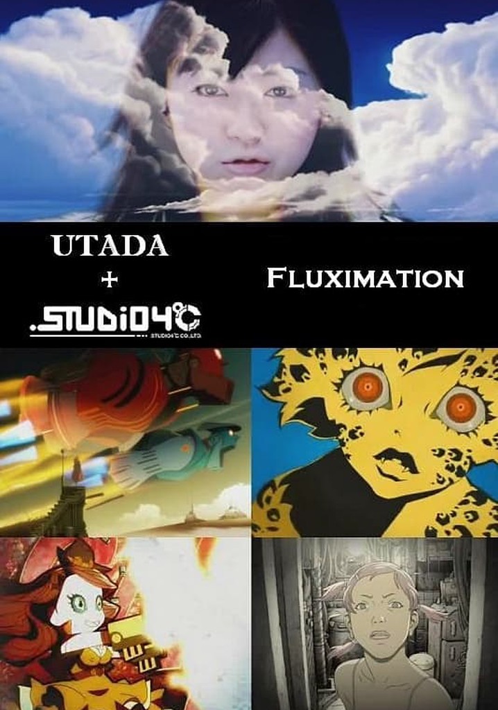 FLUXIMATION