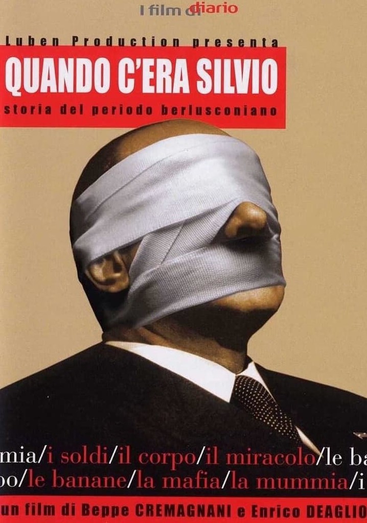 Quando c'era Silvio - Storia del periodo berlusconiano