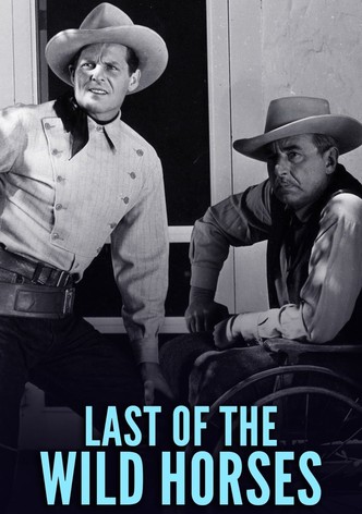 Last of the Wild Horses