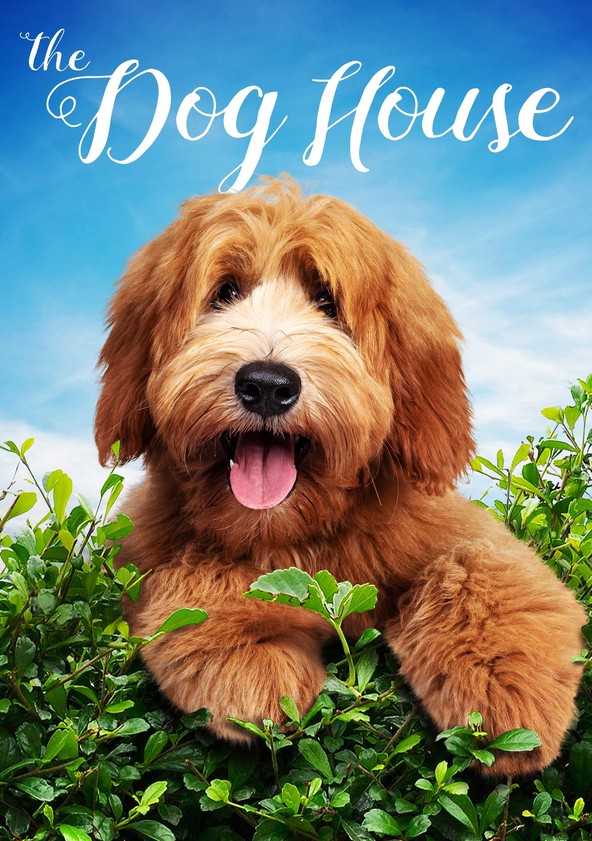 what is the name of dog house