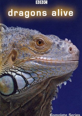 Dragons Alive