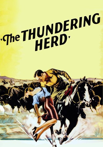 Buffalo Stampede