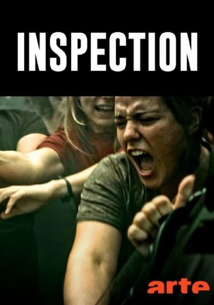 Inspection
