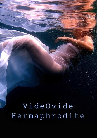 VideOvide Hermaphrodite