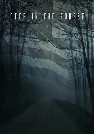 아메리칸 시빌 워