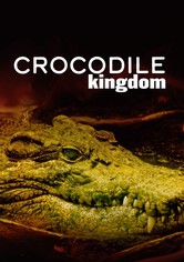 Crocodile Kingdom