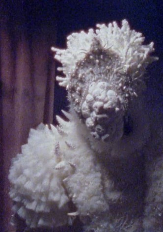 Coral