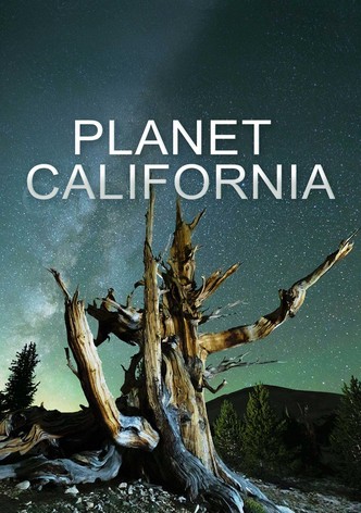 California: Un mondo da scoprire