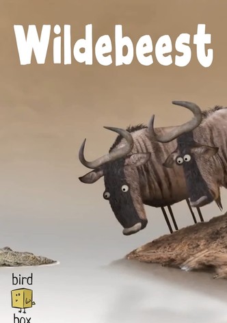 Wildebeest