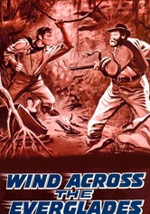 Wind Across the Everglades