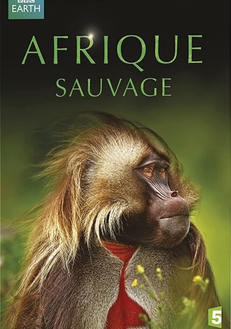 Afrique Sauvage