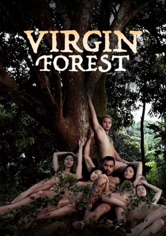 Virgin Forest