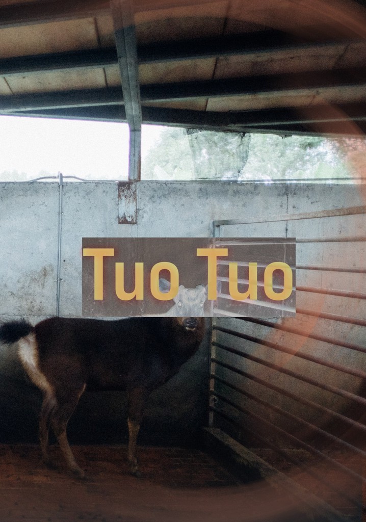Tuo Tuo
