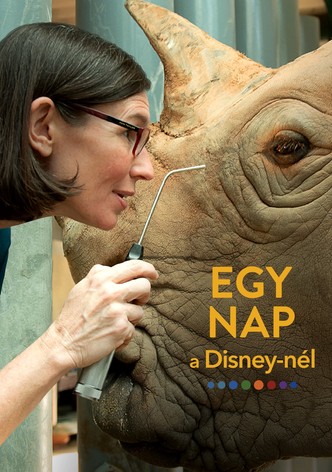 Egy nap a Disney-nél