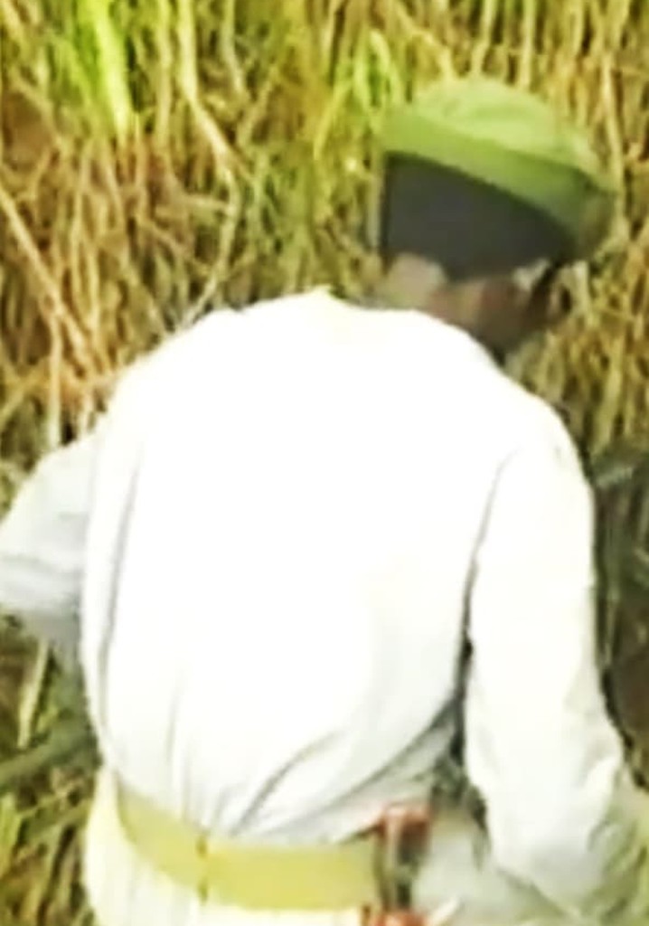 The Sun Still Shines