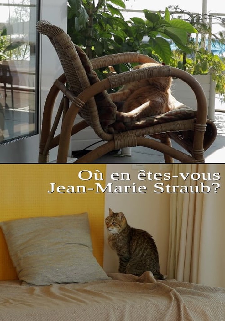 Où en êtes-vous, Jean-Marie Straub ?